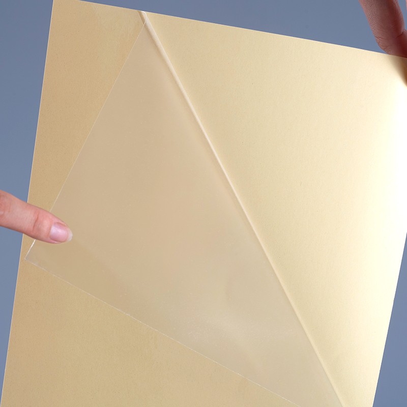 取り外し可能な粘着性の透明なポリエステルラベルが付いている 25mic 透明 PET フィルム