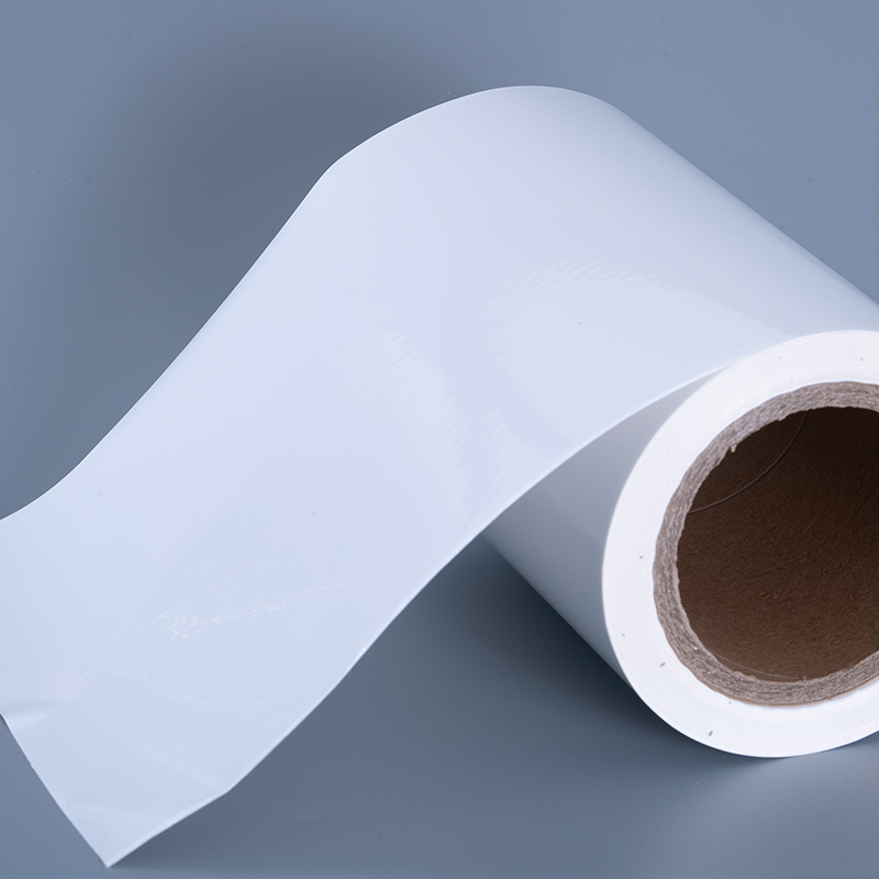 25mic 光沢 PET ビニール フィルム ラベル素材、アクリル粘着剤付きインクジェット印刷用ジャンボ ロール